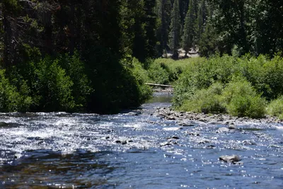 DSC_3635 (Large).JPG